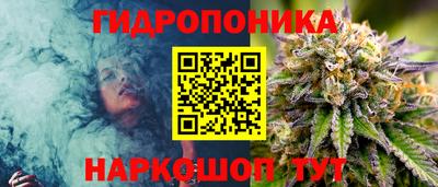 бошки Кинель