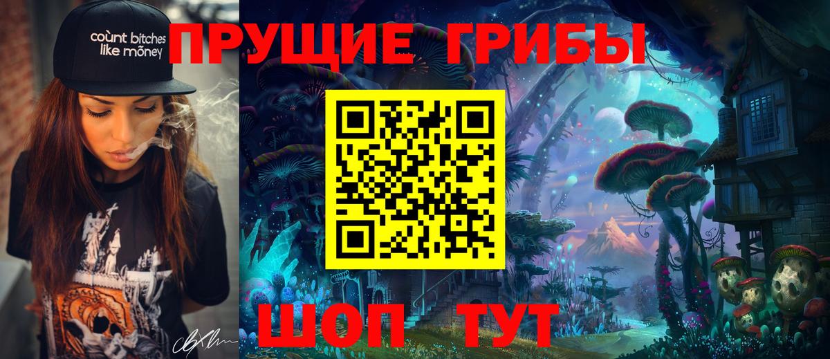 Галлюциногенные грибы Psilocybe Калуга